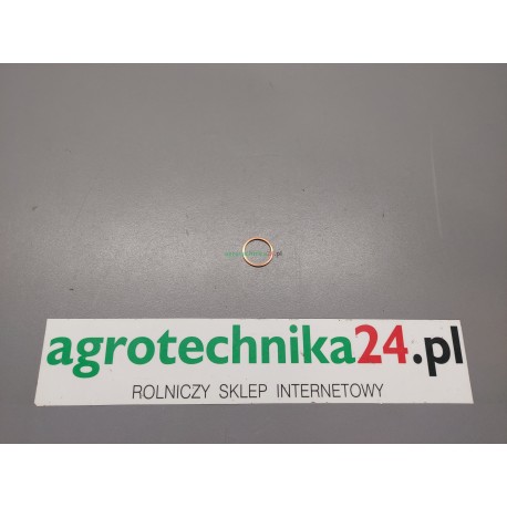 Pierścień Claas 244850.0