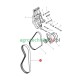 Pasek wielorowkowy alternatora Massey Ferguson 4375174M1
