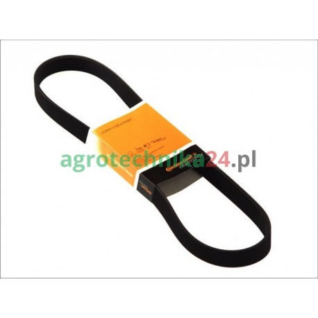 Pas Continental  wieloklinowy 6PK1130