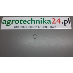 Pierścień Massey Ferguson 3382831M2