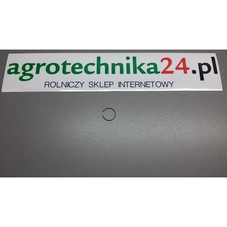 Pierścień Massey Ferguson 3382831M2