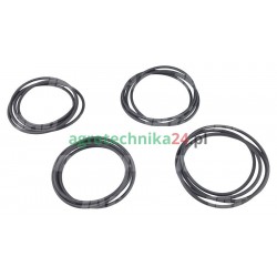 Zestaw uszczelnień układu hamulcowego Massey Ferguson 3900234M92