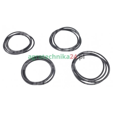 Zestaw uszczelnień układu hamulcowego Massey Ferguson 3900234M92