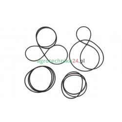 Zestaw uszczelnień układu hamulcowego Massey Ferguson 3900234M92