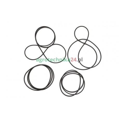 Zestaw uszczelnień układu hamulcowego Massey Ferguson 3900234M92