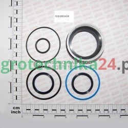 Zestaw naprawczy mulczera Giraffa XXL Maschio Gaspardo F03100141R