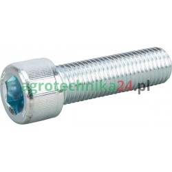 Śruba imbusowa DIN912 M20x70 mm kl.10.9 ocynk