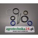 Zestaw uszczelnien siłownika wspomagania Massey Ferguson 3624121M91