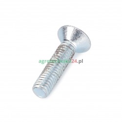 Śruba M6x25 Massey Ferguson 3009432X1