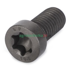 Śruba imbusowa M12x25 Massey Ferguson 3010999X1