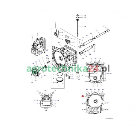 Śruba kołnierzowa M12x50 Massey Ferguson 3011899X1