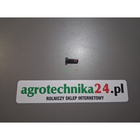 Śruba imbusowa M8x25 Massey Ferguson 4302670M1