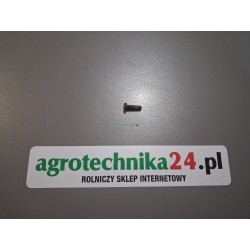 Śruba imbusowa M6x20 Massey Ferguson 4302668M1