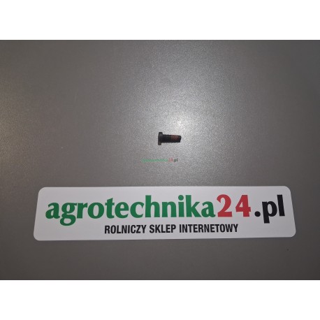 Śruba imbusowa M6x20 Massey Ferguson 4302668M1