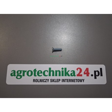 Śruba M6x25 Massey Ferguson 3009432X1
