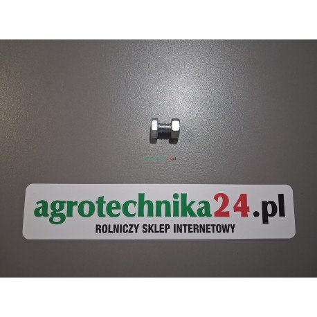 Śruba sześciokątna M10x20 Massey Ferguson 3009491X1