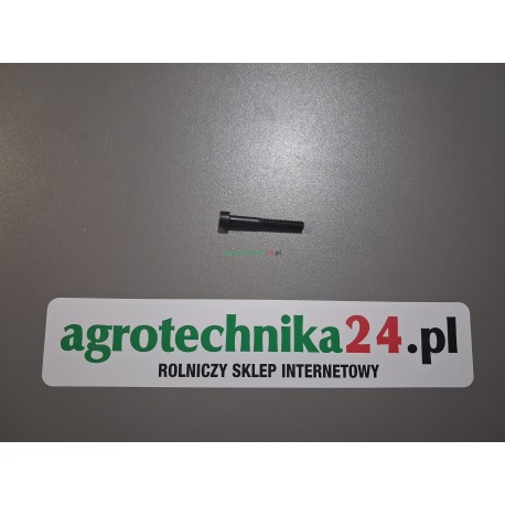 Śruba imbusowa M6x45 Massey Ferguson 3011637x1