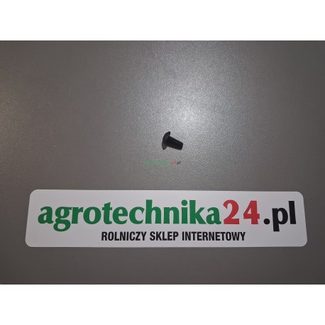Śruba z łbem soczewkowym M6x16 Massey Ferguson 3012092X1