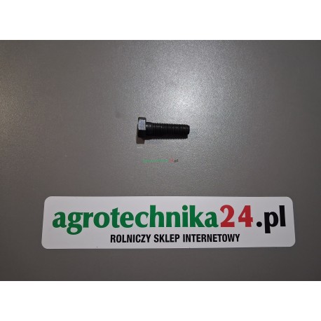 Śruba 6-kątna niepełny gwint M12 Fendt F339300020850