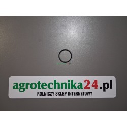 Oring pompy hydraulicznej Fendt F385941010030