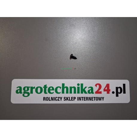 Blachowkręt z łbem walcowym wypukłym 4,8x13 Fendt  X495112100000