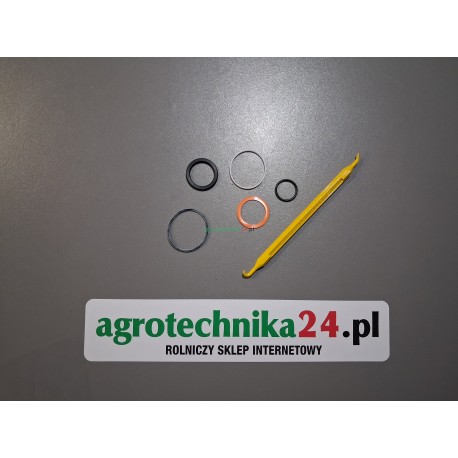 Zestaw uszczelniaczy rozdzielacza Fendt F931962020420