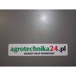 Oring pompy wody Massey Ferguson V615881822