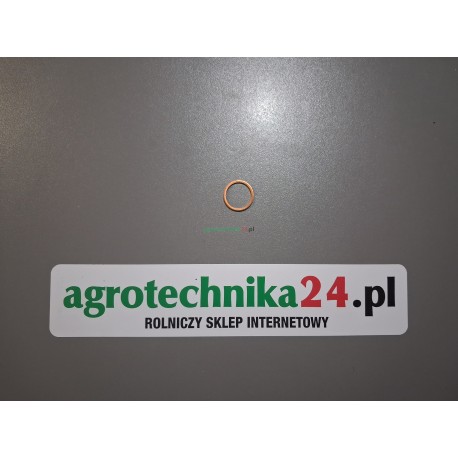 Oring pompy wody Massey Ferguson V615881822